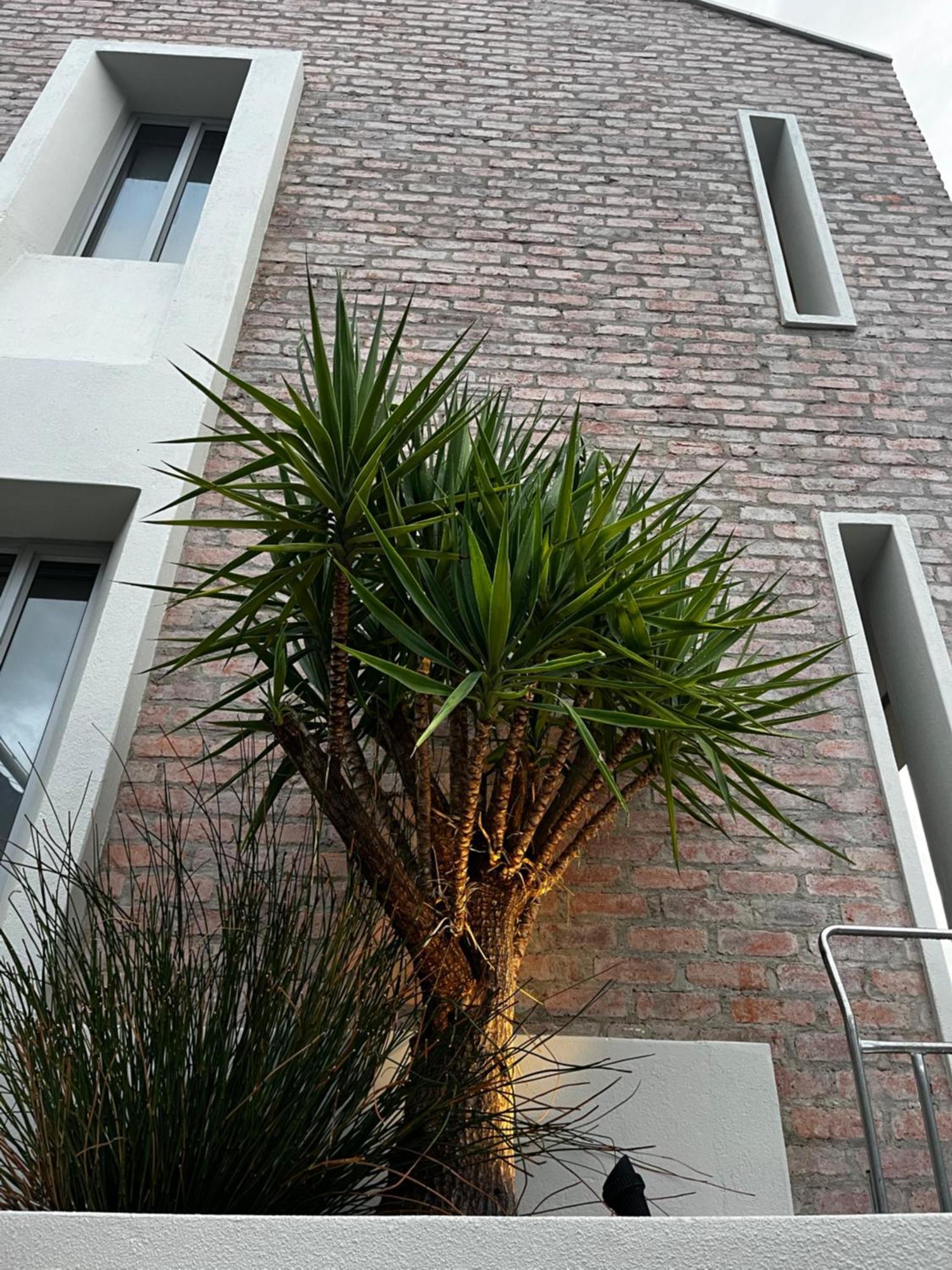 The Windhoek Luxury Suites מראה חיצוני תמונה