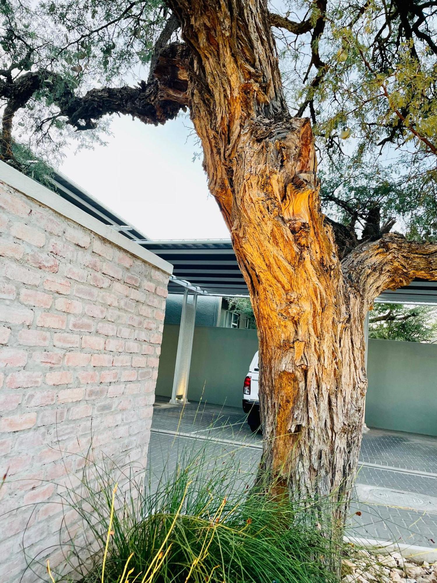 The Windhoek Luxury Suites מראה חיצוני תמונה