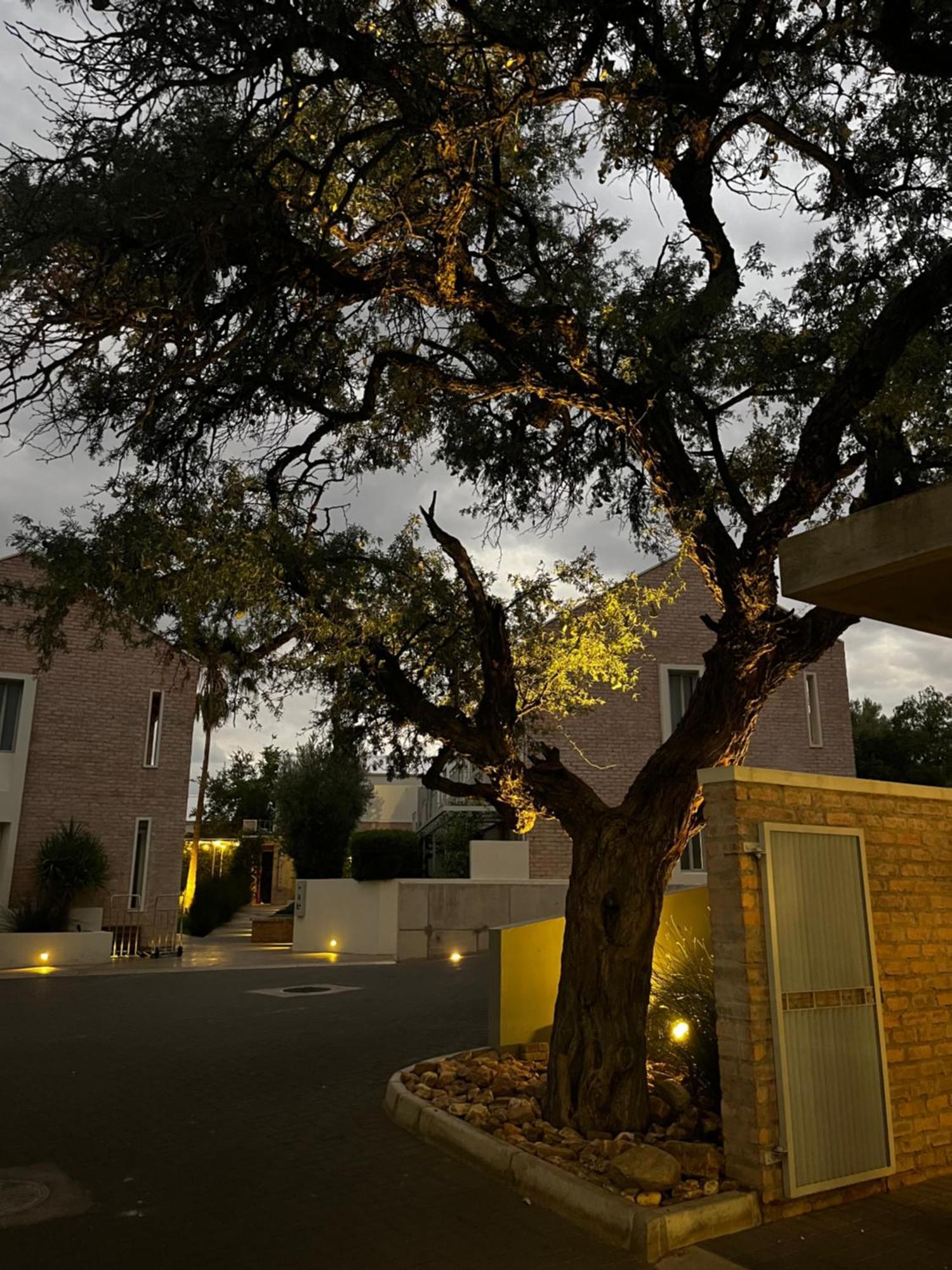 The Windhoek Luxury Suites מראה חיצוני תמונה