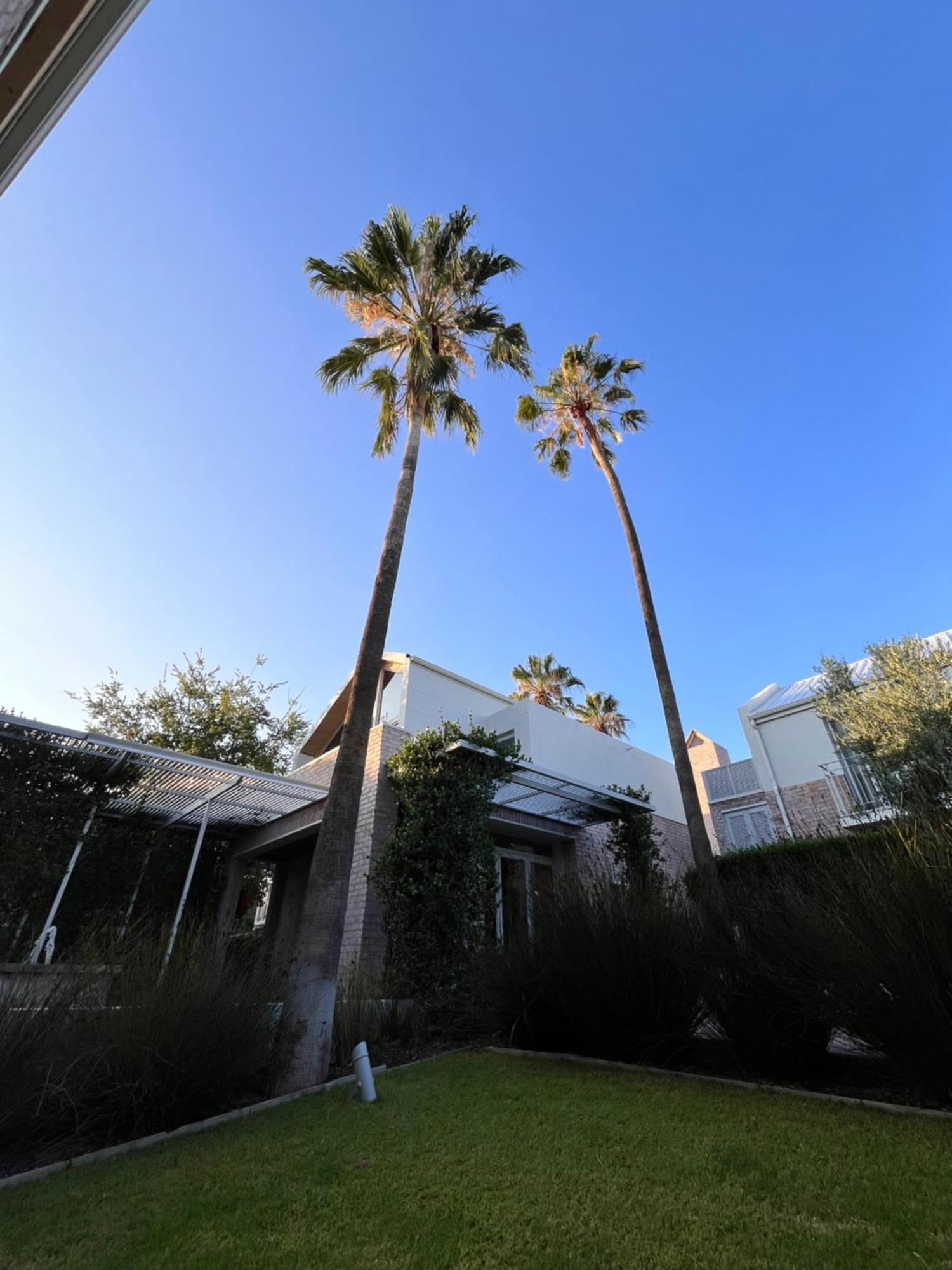 The Windhoek Luxury Suites מראה חיצוני תמונה